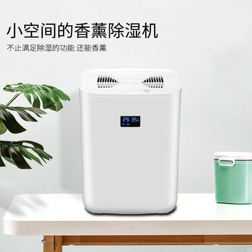 清明過后，潮氣噠噠，怎么除潮？