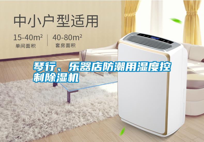 琴行、樂器店防潮用濕度控制除濕機(jī)