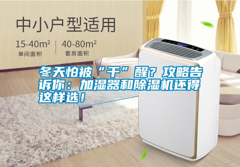 冬天怕被“干”醒？攻略告訴你：加濕器和除濕機(jī)還得這樣選！