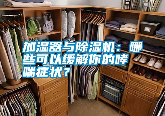 加濕器與除濕機：哪些可以緩解你的哮喘癥狀？