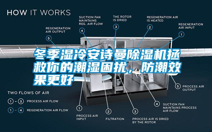 冬季濕冷安詩曼除濕機(jī)拯救你的潮濕困擾，防潮效果更好