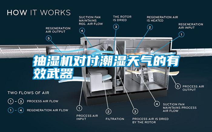 抽濕機(jī)對(duì)付潮濕天氣的有效武器