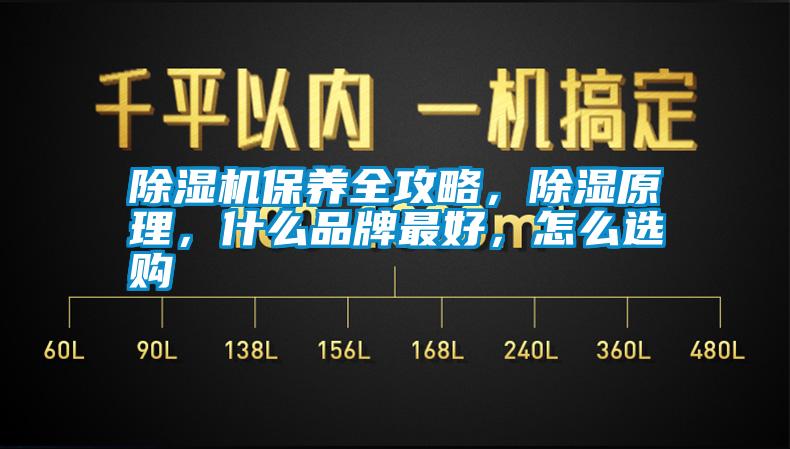 除濕機保養(yǎng)全攻略，除濕原理，什么品牌最好，怎么選購