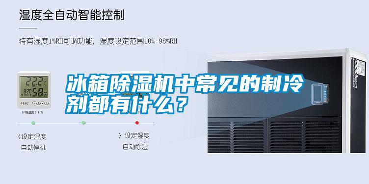 冰箱除濕機中常見的制冷劑都有什么？