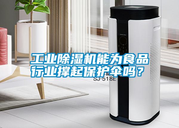 工業(yè)除濕機能為食品行業(yè)撐起保護傘嗎？