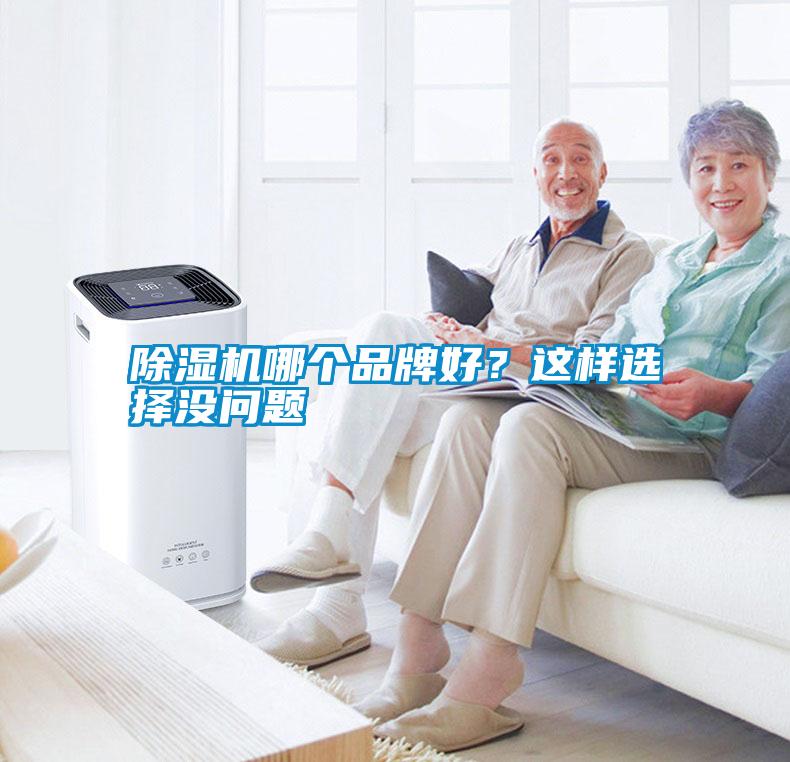 除濕機哪個品牌好？這樣選擇沒問題