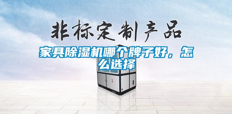 家具除濕機哪個牌子好，怎么選擇