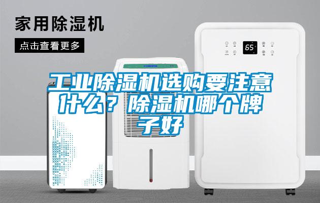 工業(yè)除濕機(jī)選購要注意什么？除濕機(jī)哪個(gè)牌子好