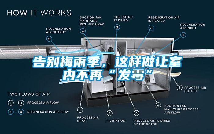 告別梅雨季，這樣做讓室內(nèi)不再“發(fā)霉”