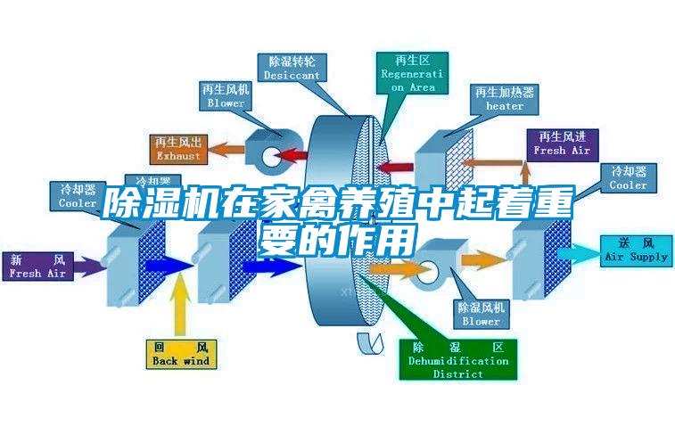 除濕機在家禽養(yǎng)殖中起著重要的作用