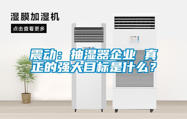 震動：抽濕器企業(yè) 真正的強大目標是什么？