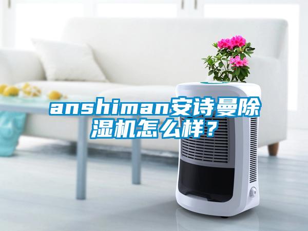 anshiman安詩曼除濕機怎么樣？