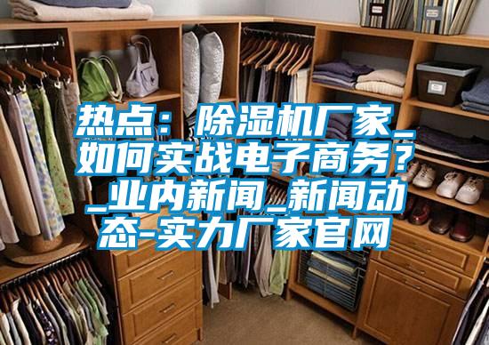 熱點：除濕機廠家_如何實戰(zhàn)電子商務？_業(yè)內新聞_新聞動態(tài)-實力廠家官網