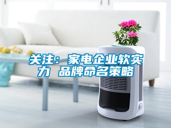 關(guān)注：家電企業(yè)軟實(shí)力 品牌命名策略