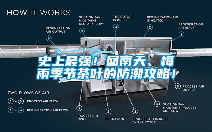 史上最強(qiáng)！回南天、梅雨季節(jié)茶葉的防潮攻略！