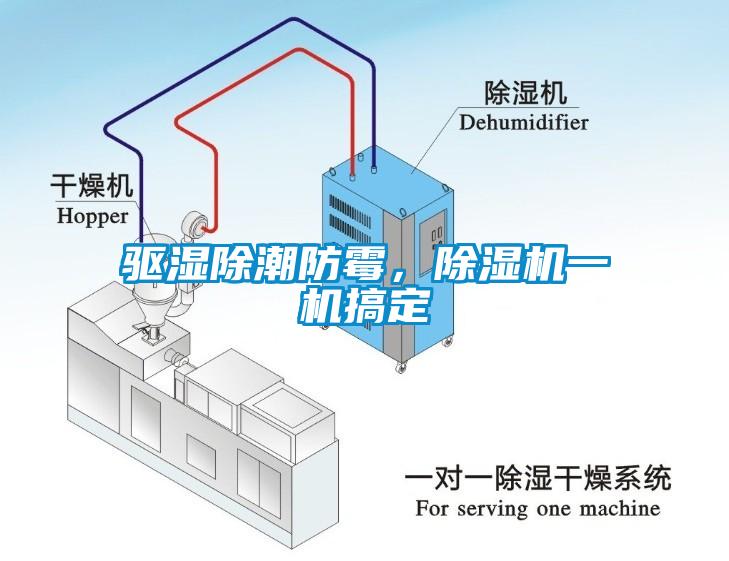 驅(qū)濕除潮防霉，除濕機(jī)一機(jī)搞定