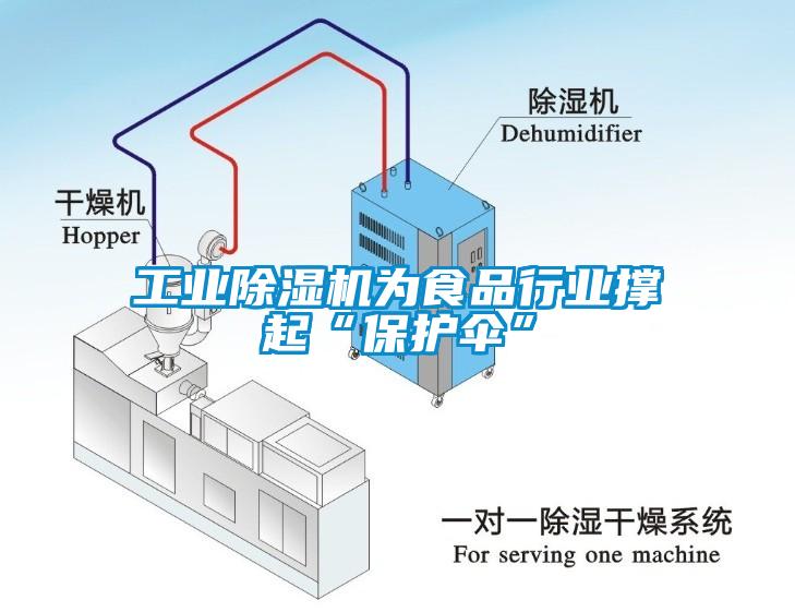 工業(yè)除濕機為食品行業(yè)撐起“保護(hù)傘”