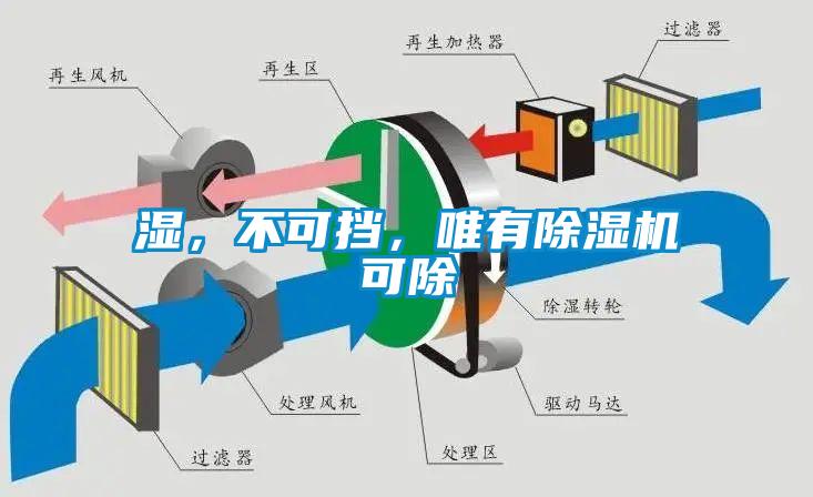 濕，不可擋，唯有除濕機(jī)可除