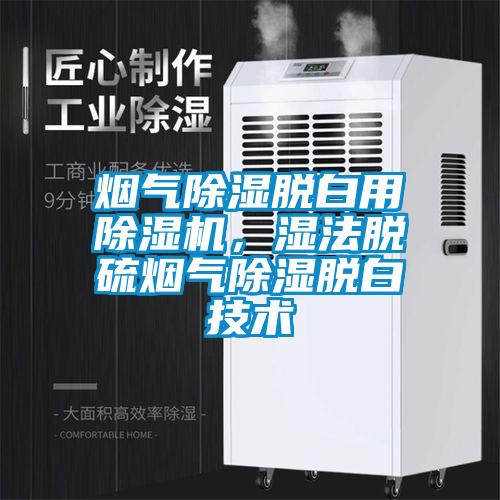 煙氣除濕脫白用除濕機，濕法脫硫煙氣除濕脫白技術(shù)