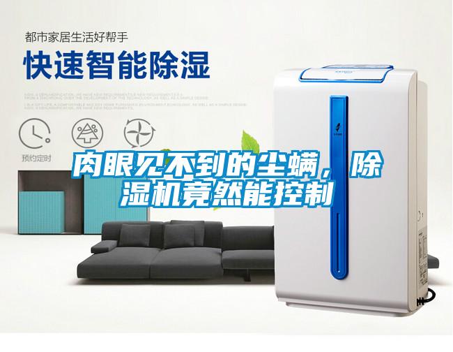 肉眼見不到的塵螨，除濕機(jī)竟然能控制