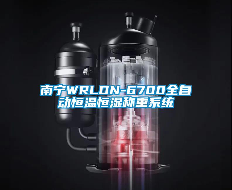 南寧WRLDN-6700全自動(dòng)恒溫恒濕稱重系統(tǒng)