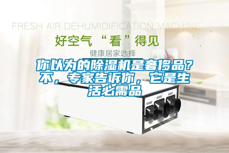 你以為的除濕機(jī)是奢侈品？不，專家告訴你，它是生活必需品