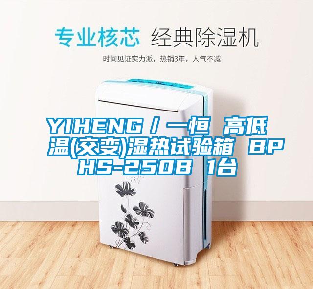 YIHENG／一恒 高低溫(交變)濕熱試驗箱 BPHS-250B 1臺