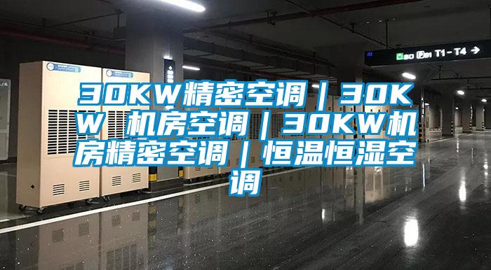 30KW精密空調(diào)｜30KW 機(jī)房空調(diào)｜30KW機(jī)房精密空調(diào)｜恒溫恒濕空調(diào)