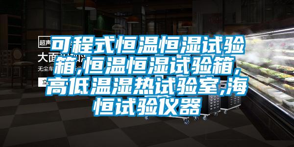 可程式恒溫恒濕試驗箱,恒溫恒濕試驗箱,高低溫濕熱試驗室,海恒試驗儀器