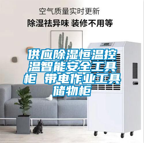 供應除濕恒溫控溫智能安全工具柜 帶電作業(yè)工具儲物柜