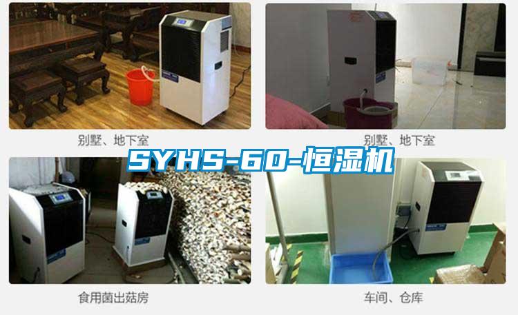 SYHS-60-恒濕機(jī)