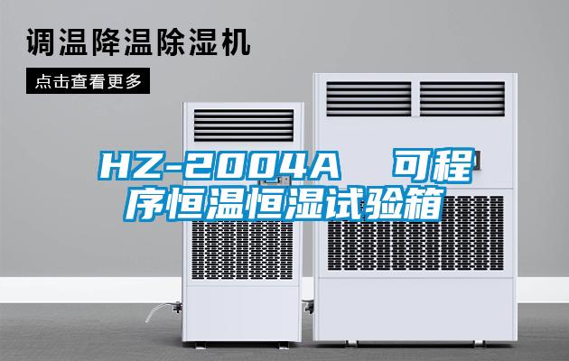 HZ-2004A  可程序恒溫恒濕試驗(yàn)箱