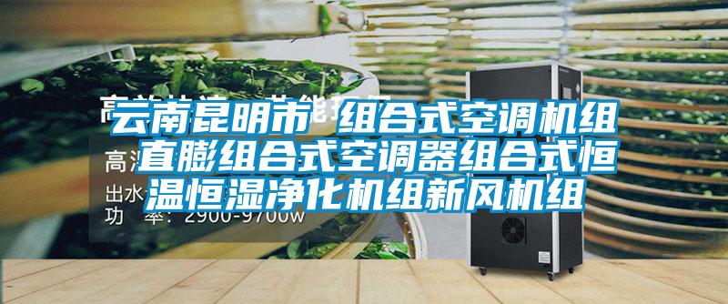 云南昆明市 組合式空調(diào)機(jī)組 直膨組合式空調(diào)器組合式恒溫恒濕凈化機(jī)組新風(fēng)機(jī)組