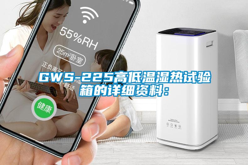 GWS-225高低溫濕熱試驗箱的詳細資料：