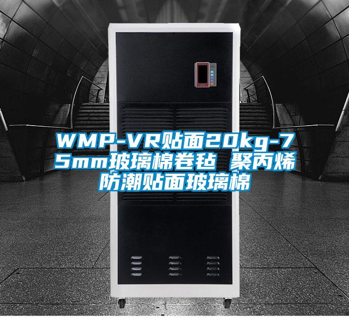 WMP-VR貼面20kg-75mm玻璃棉卷氈 聚丙烯防潮貼面玻璃棉