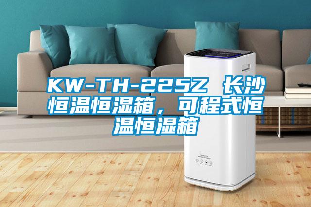 KW-TH-225Z 長沙恒溫恒濕箱，可程式恒溫恒濕箱