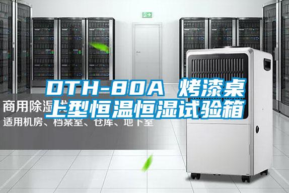 DTH-80A 烤漆桌上型恒溫恒濕試驗(yàn)箱