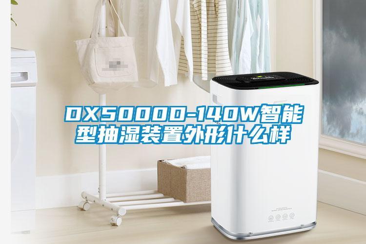 DX5000D-140W智能型抽濕裝置外形什么樣