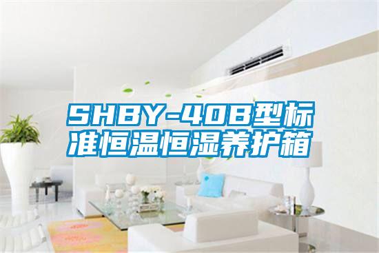 SHBY-40B型標準恒溫恒濕養(yǎng)護箱