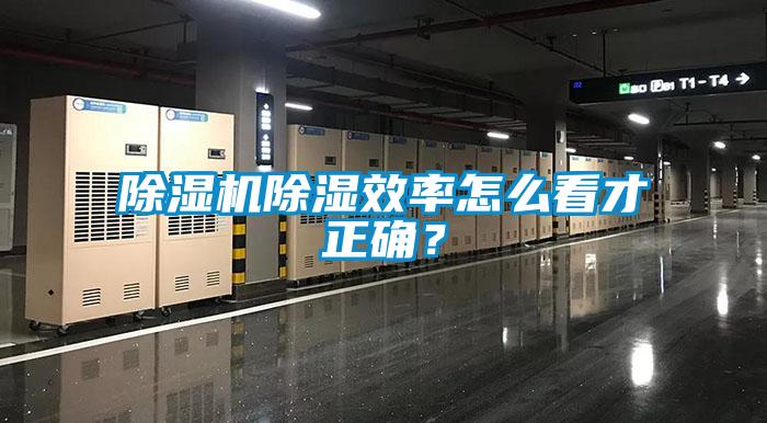 除濕機(jī)除濕效率怎么看才正確？