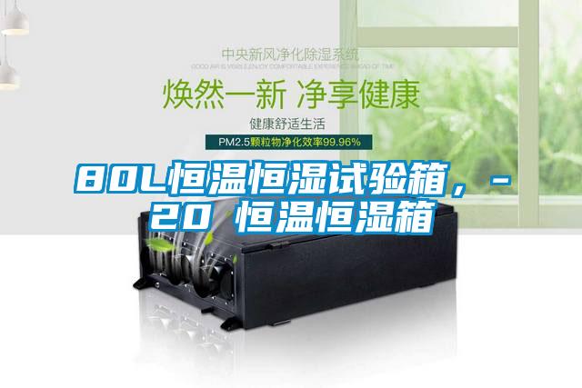 80L恒溫恒濕試驗箱，-20℃恒溫恒濕箱