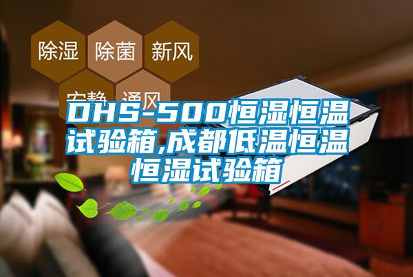 DHS-500恒濕恒溫試驗(yàn)箱,成都低溫恒溫恒濕試驗(yàn)箱