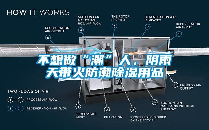 不想做“潮”人，陰雨天帶火防潮除濕用品