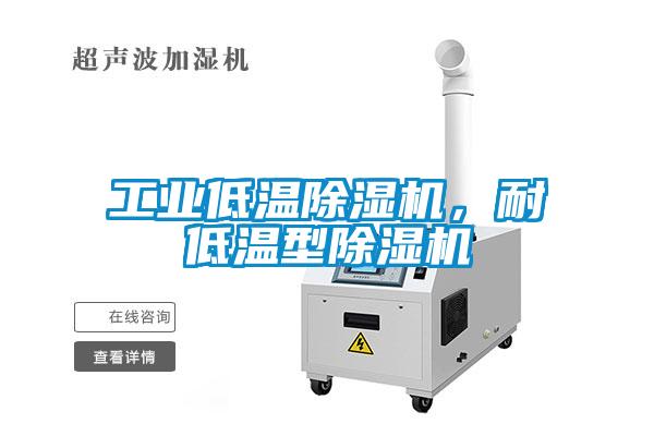 工業(yè)低溫除濕機(jī)，耐低溫型除濕機(jī)