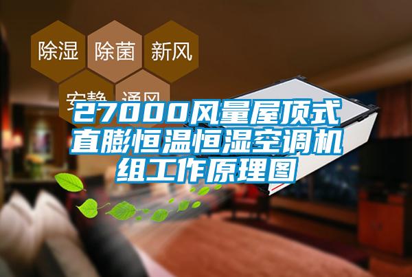 27000風(fēng)量屋頂式直膨恒溫恒濕空調(diào)機(jī)組工作原理圖