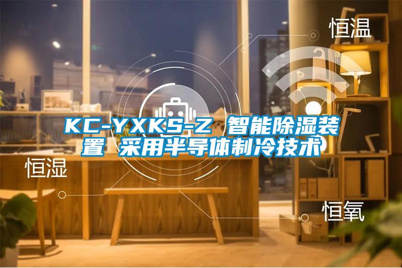 KC-YXKS-Z 智能除濕裝置 采用半導(dǎo)體制冷技術(shù)