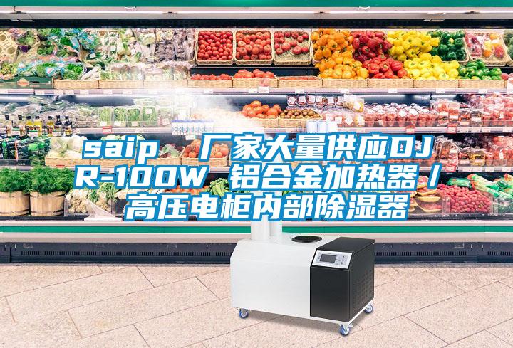 saip  廠家大量供應(yīng)DJR-100W 鋁合金加熱器／ 高壓電柜內(nèi)部除濕器