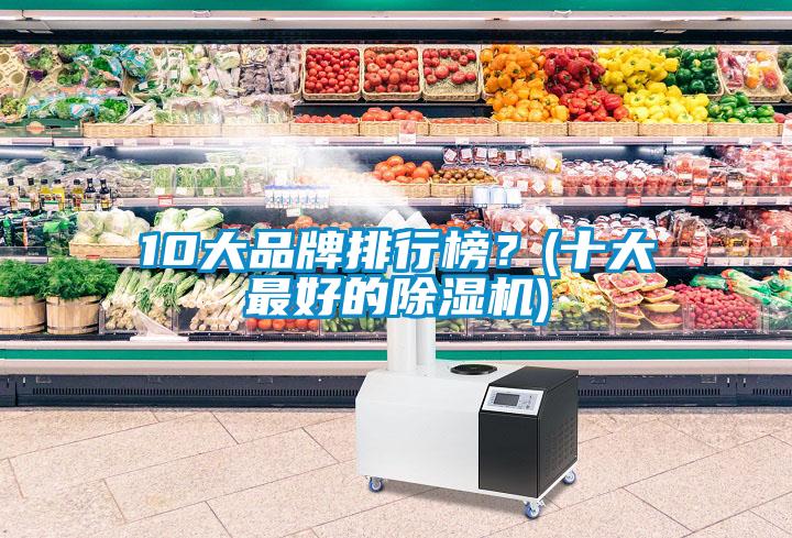 10大品牌排行榜？(十大最好的除濕機(jī))