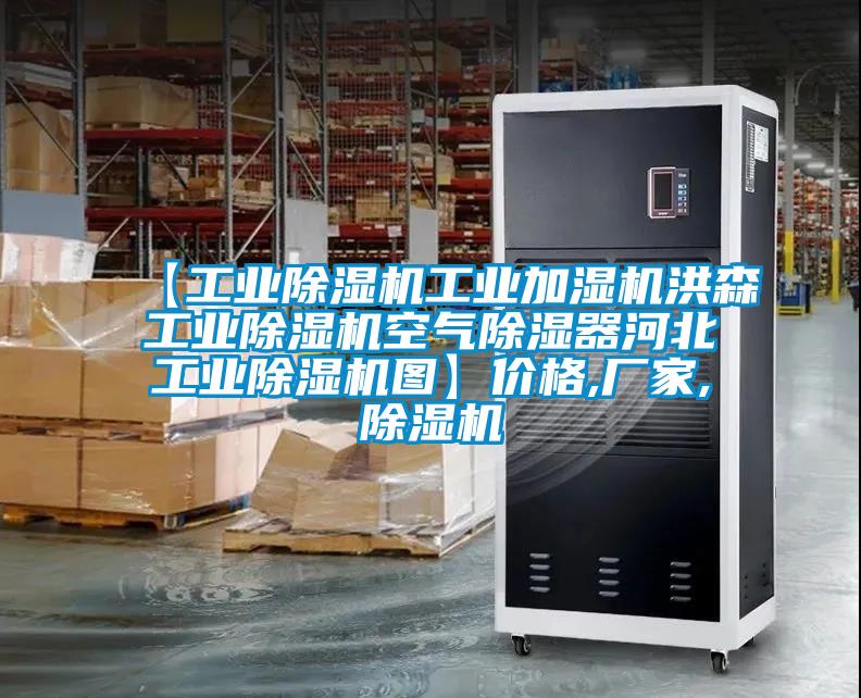 【工業(yè)除濕機工業(yè)加濕機洪森工業(yè)除濕機空氣除濕器河北工業(yè)除濕機圖】價格,廠家,除濕機