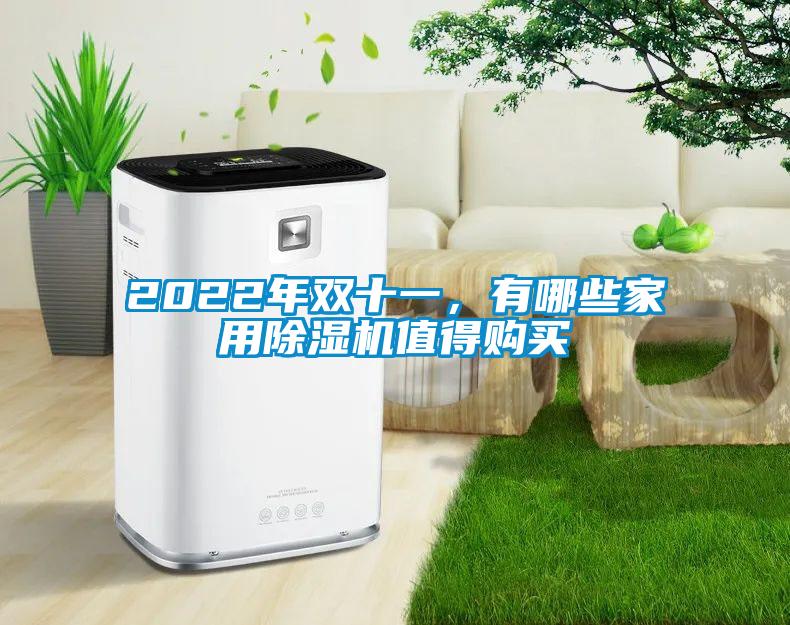 2022年雙十一，有哪些家用除濕機值得購買